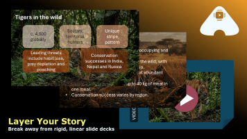 Layer Your Story
